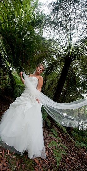 Budget Wedding Photography Packages Under 1000 Discount Prices